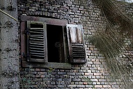 木材廠,窗口,老