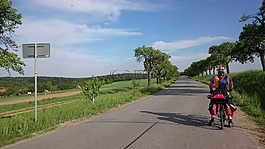 路,自行車,體育