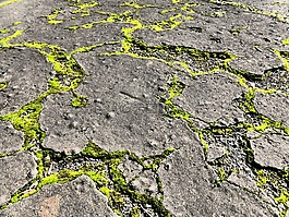 混凝土,moss,街