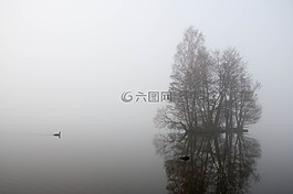 霧,水,灰色