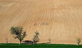 請(qǐng)捐贈(zèng),咖啡的捐贈(zèng),貝寶