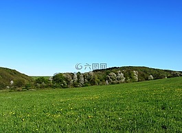 景觀,性質(zhì),草地