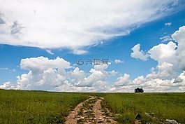 天空,云,自然