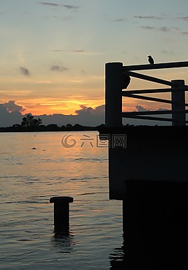 河,papaloapan,tlacotalpan
