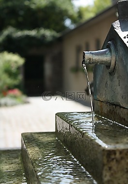 噴泉,水,花園
