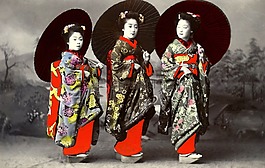 藝妓,懷舊,葡萄收獲期