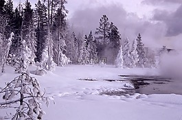 冬天,景觀,雪