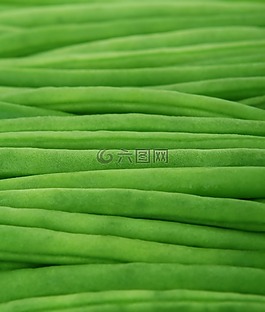 食欲,豆類,卡路里