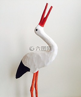 鸛,出生,鳥
