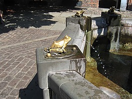青蛙,噴泉,水