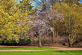 公園,景觀,性質(zhì)