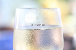 酒精,酒類,周年
