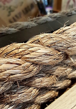 繩,木,自然
