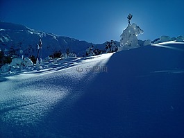 雪,性質(zhì),冷