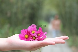 手,手指,野花