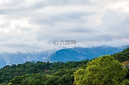 夏季,山,霧