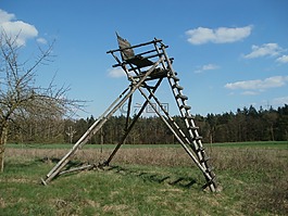 altlussheim,射擊,狩獵