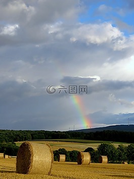 彩虹,顏色,字段