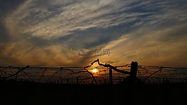 夕陽,云,葡萄藤