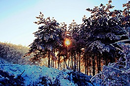 雪,冬天,日出