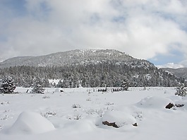 山,雪,冬天