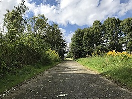人行道,離,路