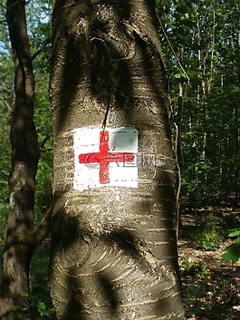 pumpwerkweg,schwetzinger 哈特,kurpfalzweg