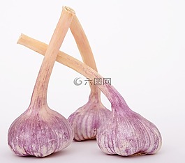 燈泡,特寫,丁香