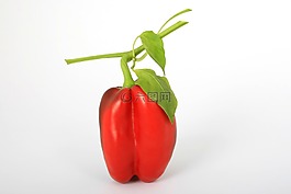 食欲,卡路里,特寫