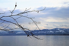 水,湖,發(fā)光