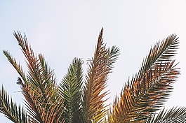 背景,灣,海灘
