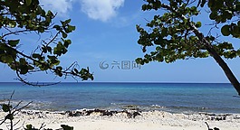 海灘,海洋,沙