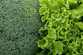 食欲,西蘭花,花椰菜 broccolli