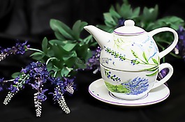 茶杯,杯,陶瓷