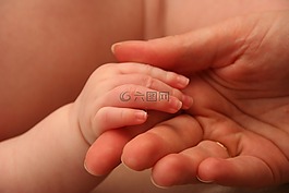 嬰兒,手,兒童