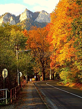 秋,方式,山