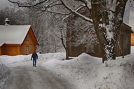 雪,冬天,冷