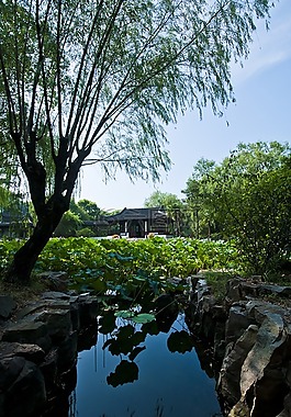 蘇州,啟園,園林