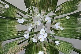 花朵,藝術(shù),擺設(shè)