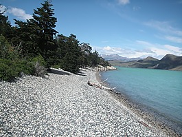 智利,海灘,冰川湖