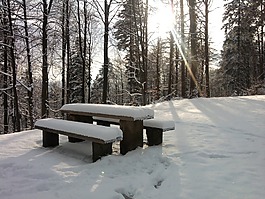 雪,银行,野餐