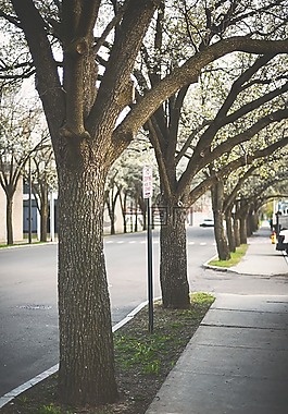 路面,路,人行道