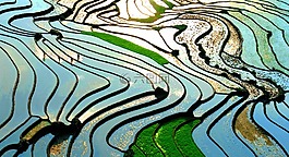 老財,露臺,藍色