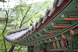 亭,丽城,县版