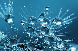 水,水滴,滴