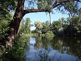 湖,沉默,pokoj