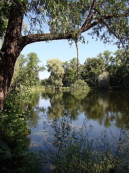 湖,沉默,pokoj