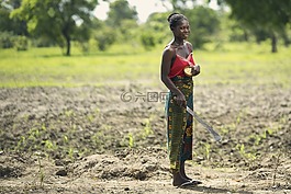 農(nóng)民,非洲,婦女