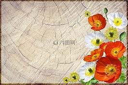 賀卡,罌粟,木材基