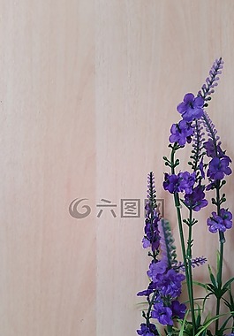 請注意,墊,紙